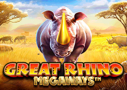 Jogo gremio novorizontino