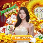 Stake casino apk