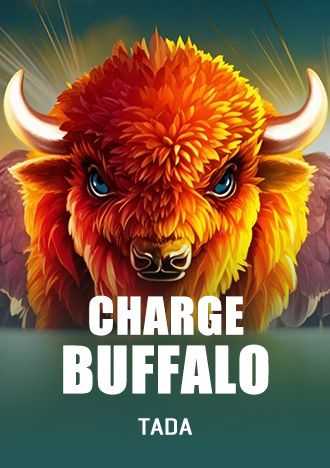 Esporte brasil bet